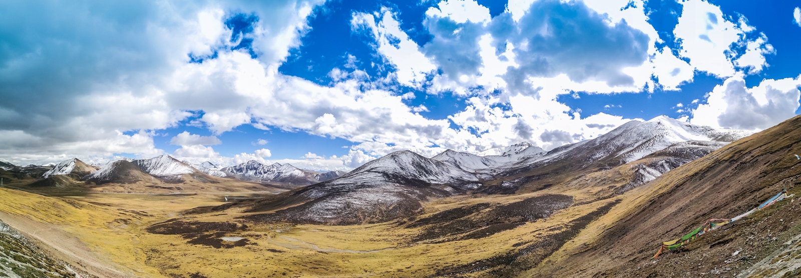 米拉山-8.jpg