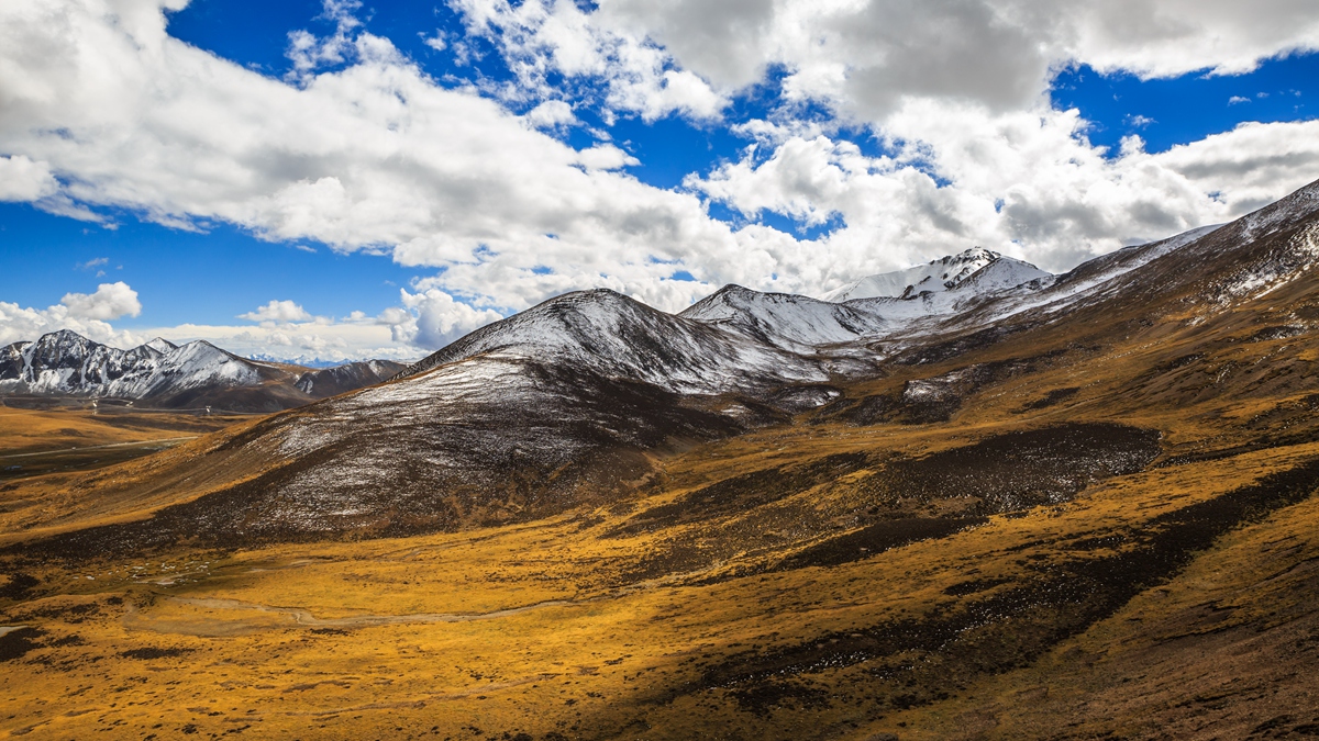 米拉山-6.jpg