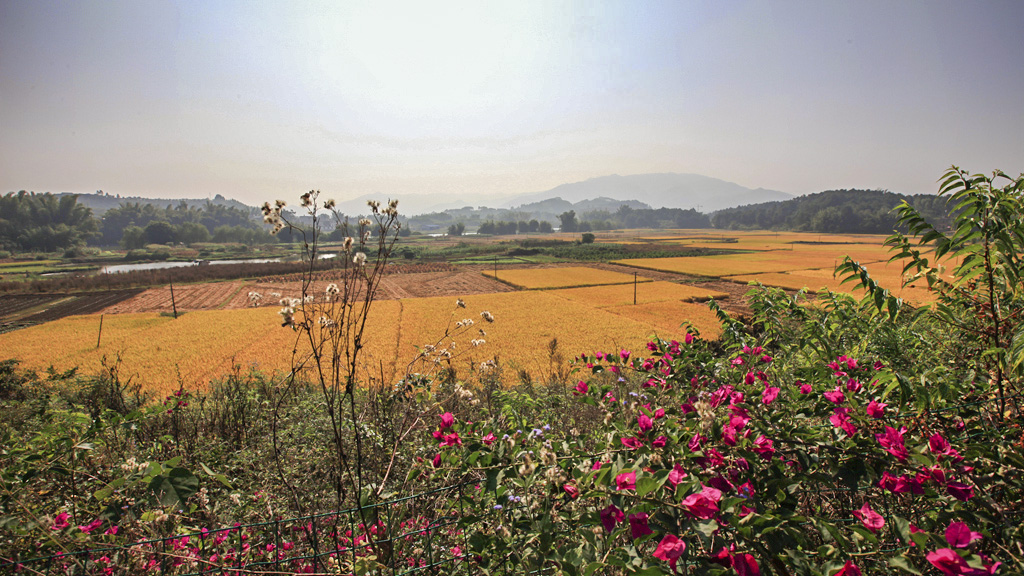 IMG_4603_副本.jpg