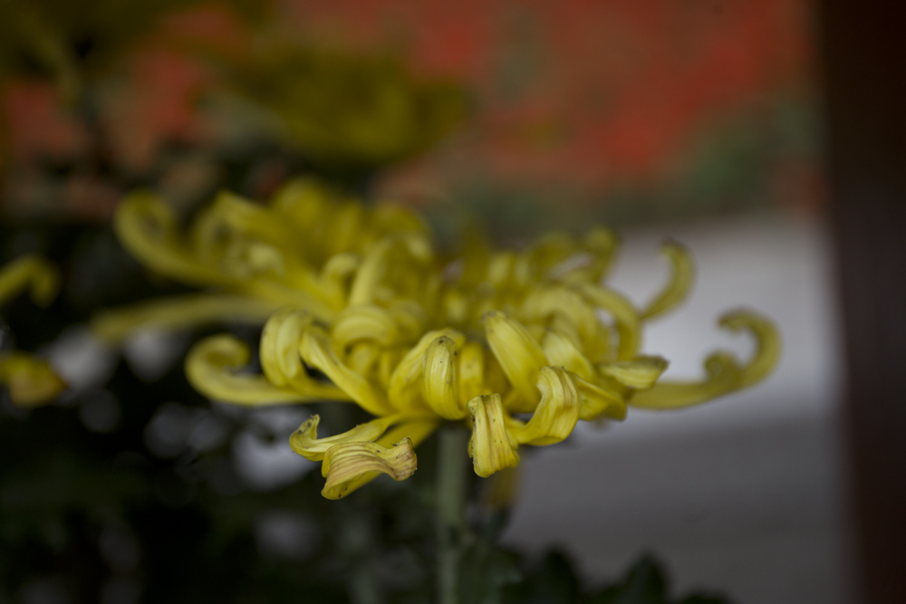 IMG_3944副本.jpg