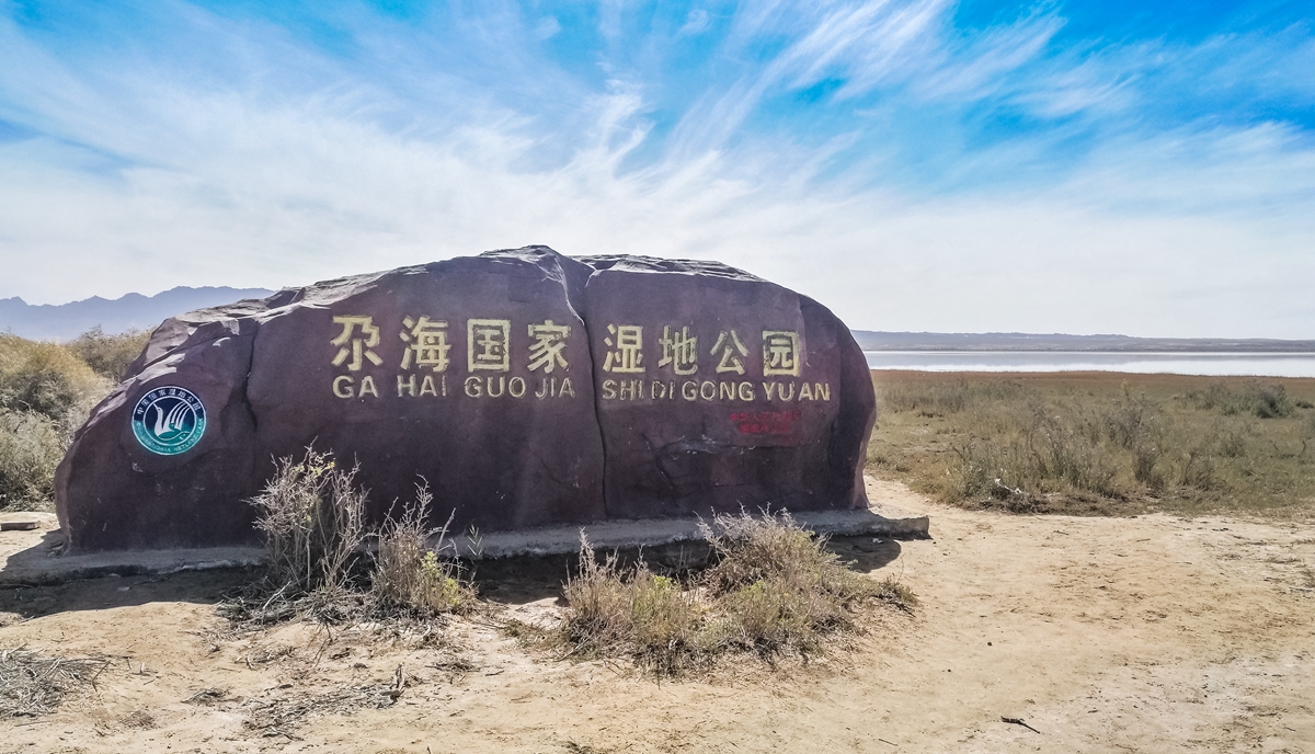 湿地-6_副本.jpg