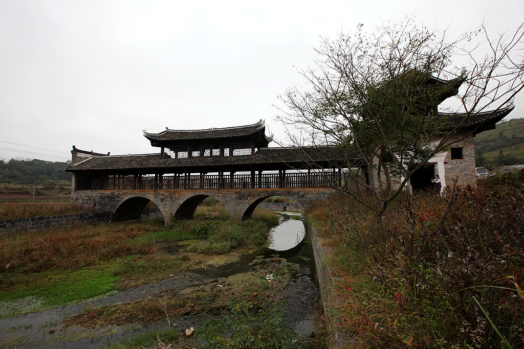 IMG_4982_副本.jpg