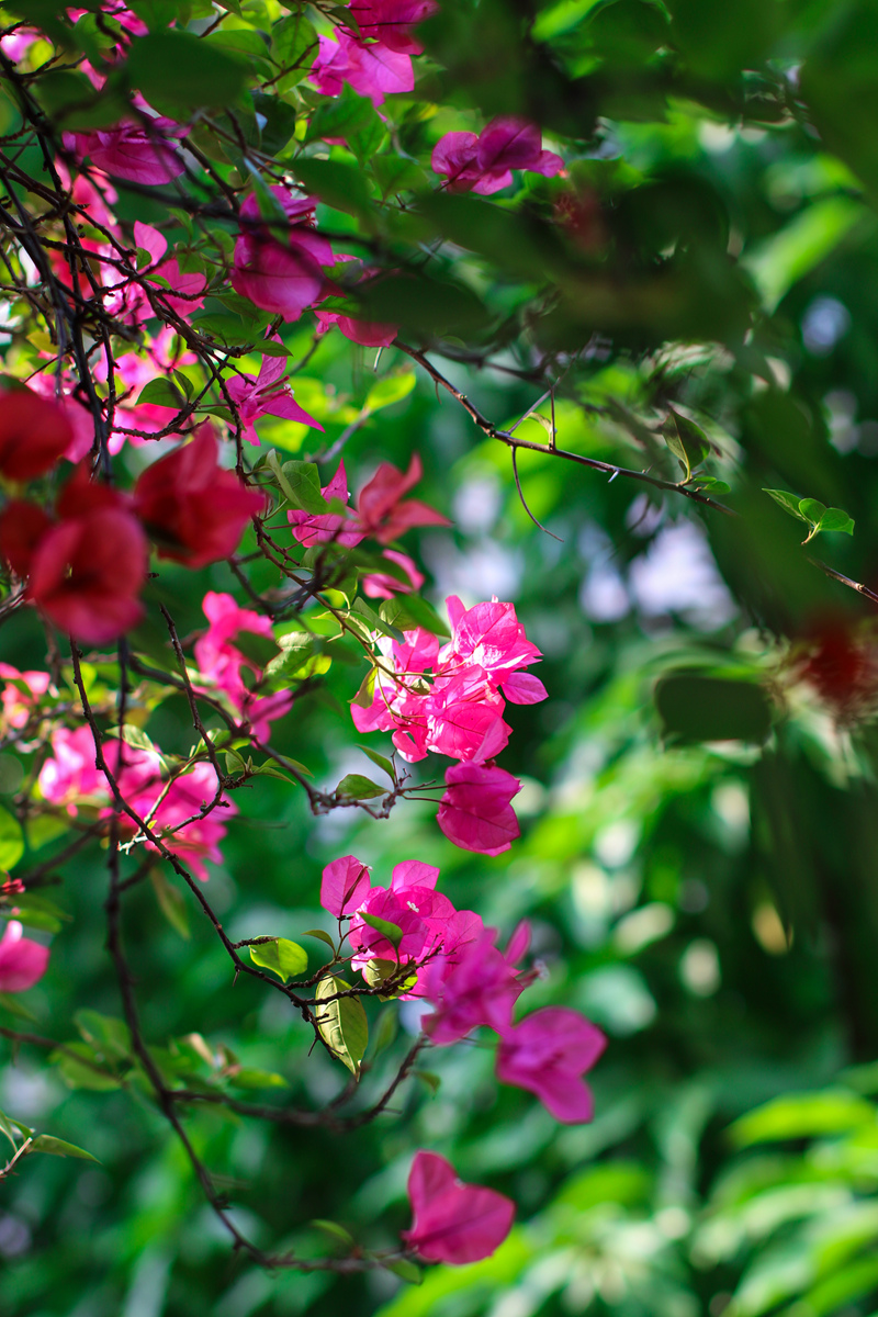081A6816_副本.jpg