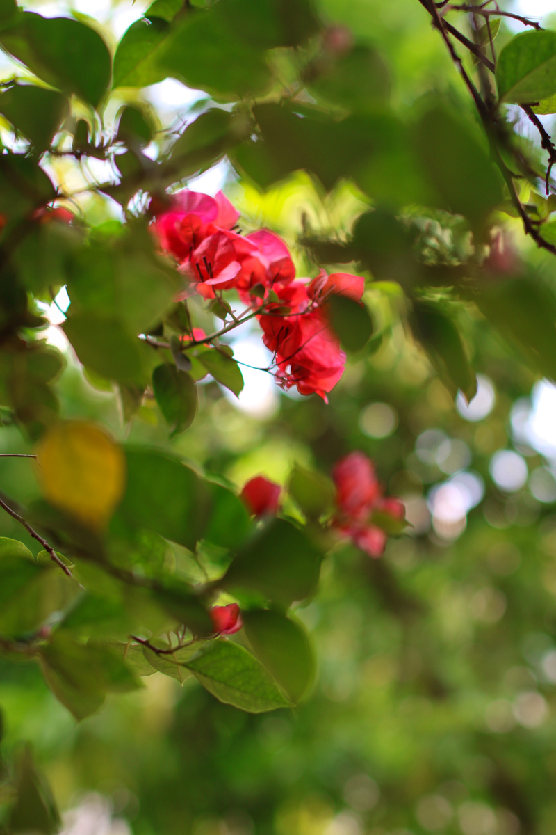 081A6817_副本.jpg
