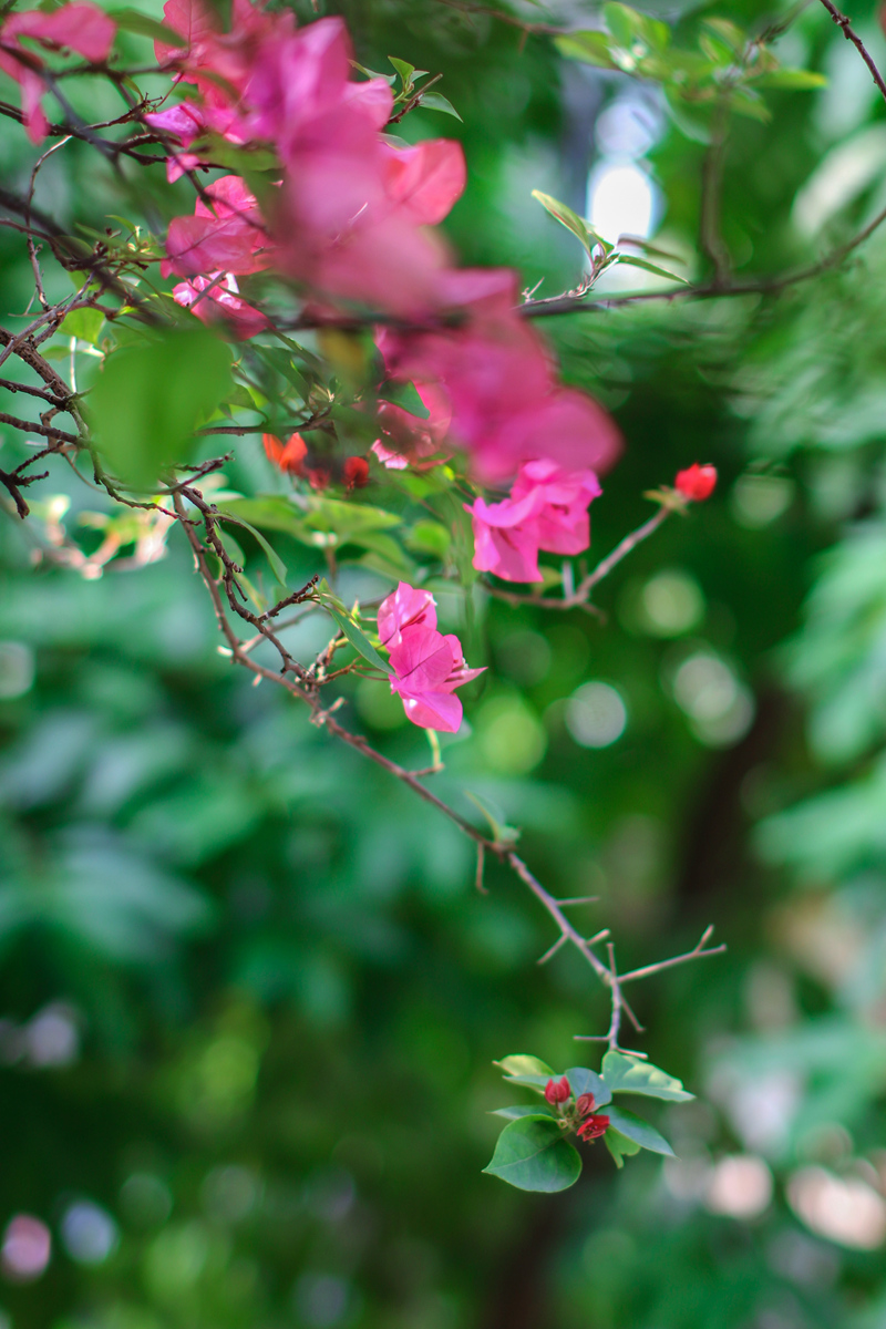 081A6824_副本.jpg