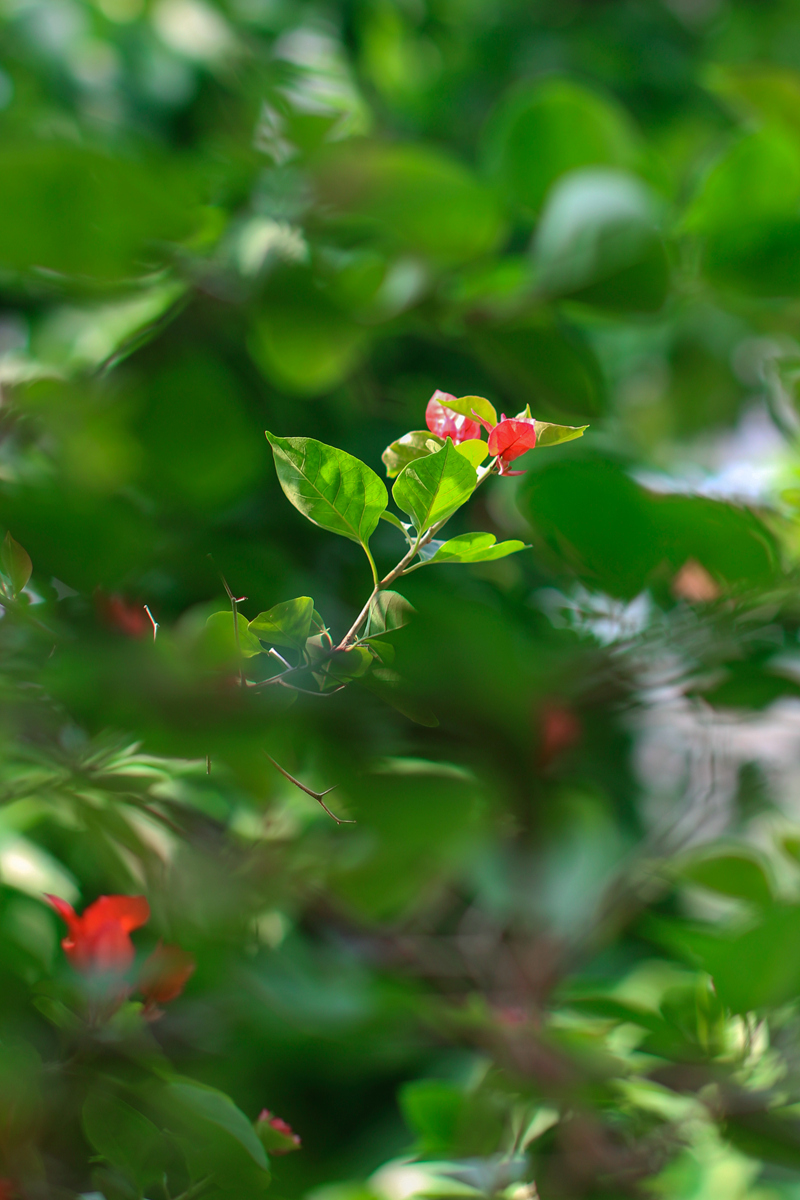 081A6827_副本.jpg