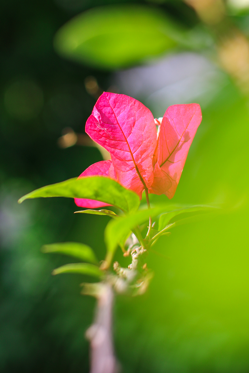081A6840_副本.jpg