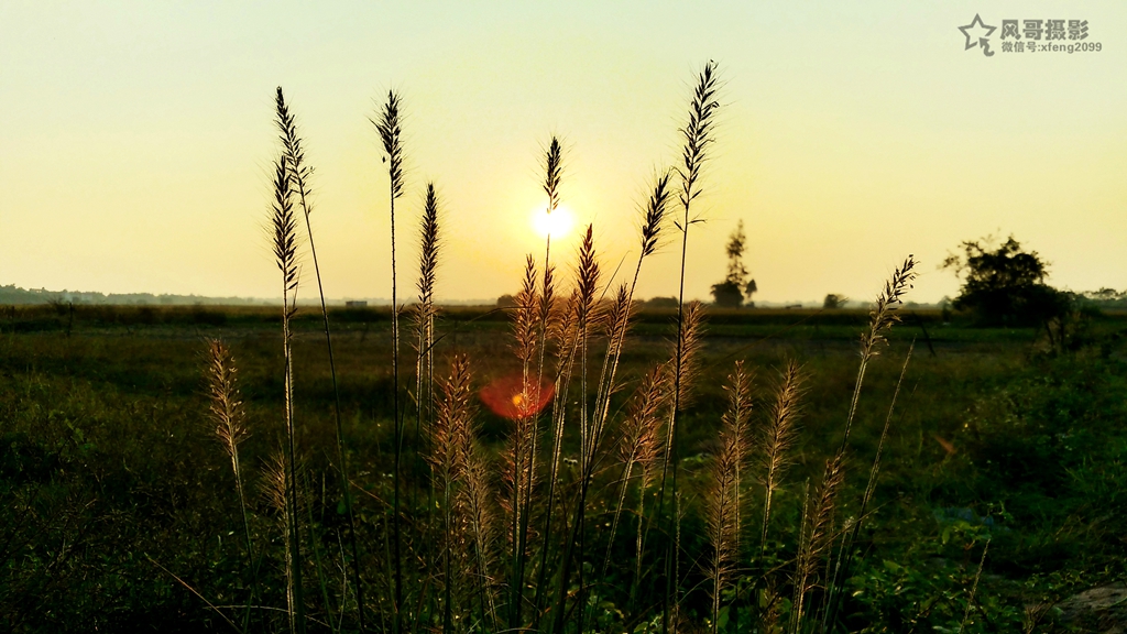 IMG_20161104_174033_AO_HDR_副本.jpg