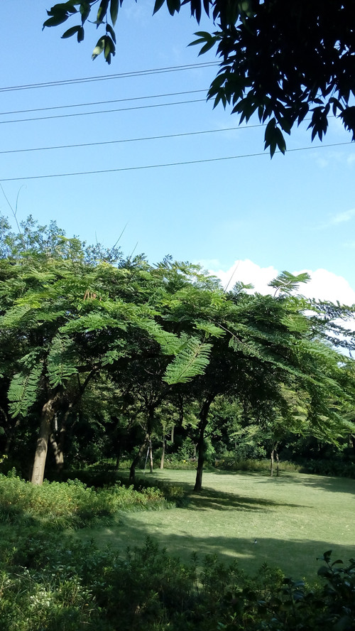 IMG_20161121_150937_副本.jpg