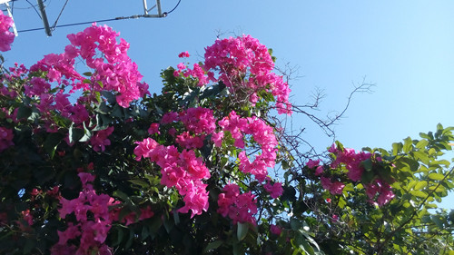 IMG_20161127_114404_副本.jpg