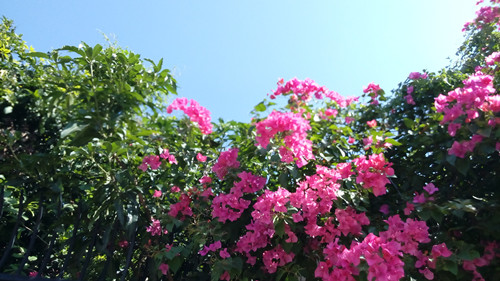 IMG_20161127_114344_副本.jpg