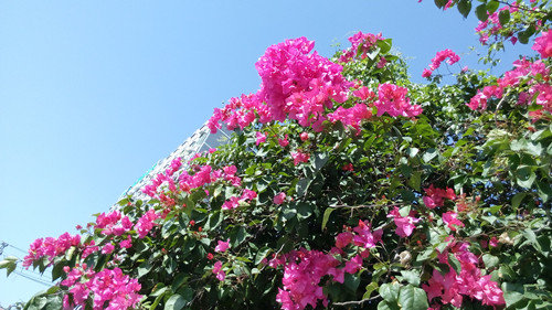 IMG_20161127_114332_副本.jpg