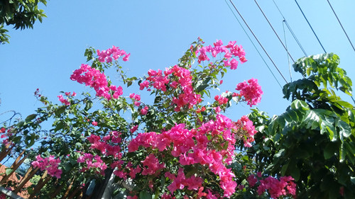 IMG_20161127_114303_副本.jpg
