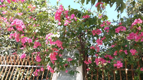 IMG_20161127_114245_副本.jpg