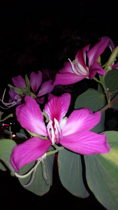 IMG_20161128_204358_副本.jpg