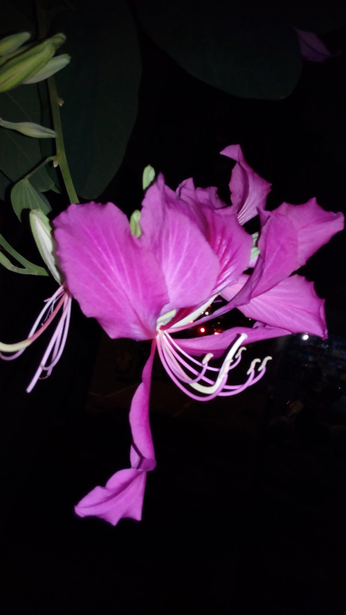 IMG_20161128_205056_副本.jpg