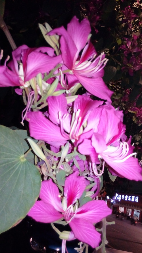 IMG_20161128_205130_副本.jpg