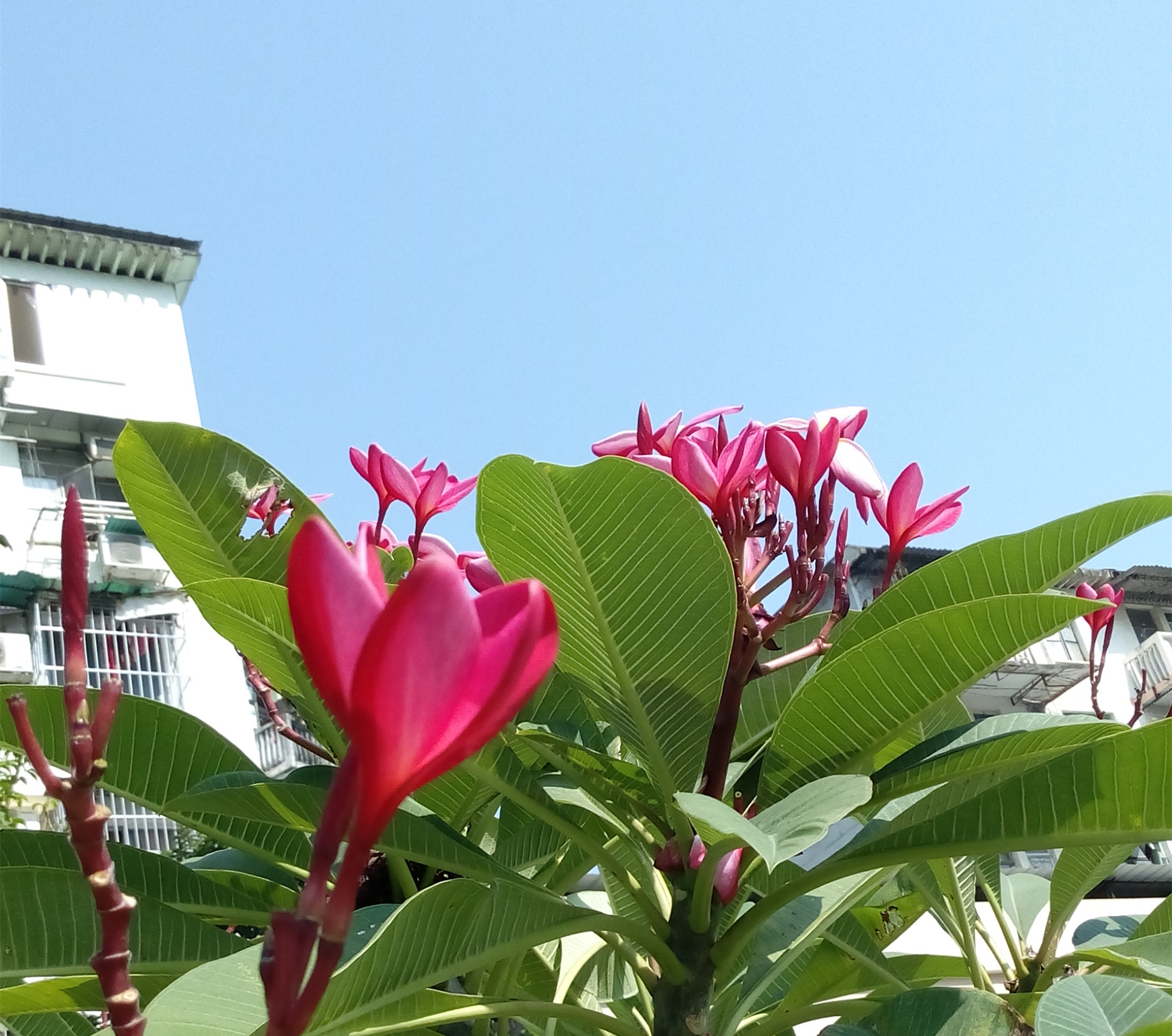 IMG_20161129_114949_副本.jpg