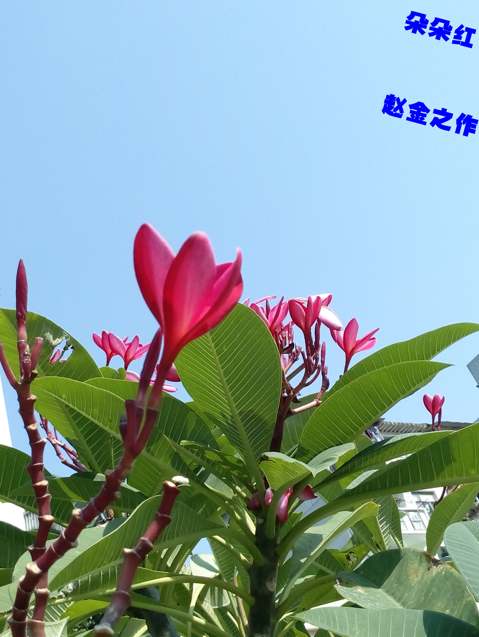 IMG_20161129_115000_副本.jpg