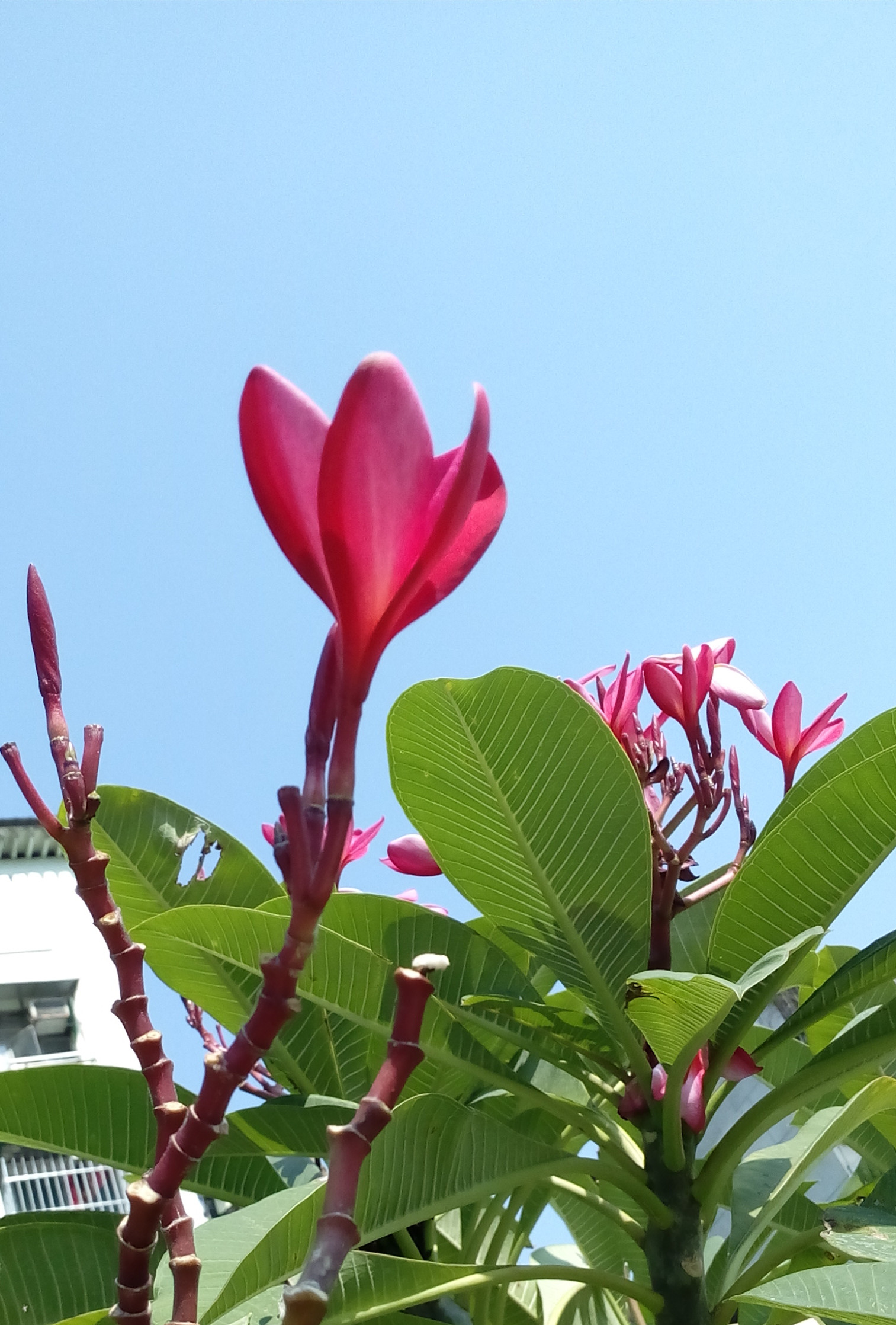 IMG_20161129_115005_副本.jpg