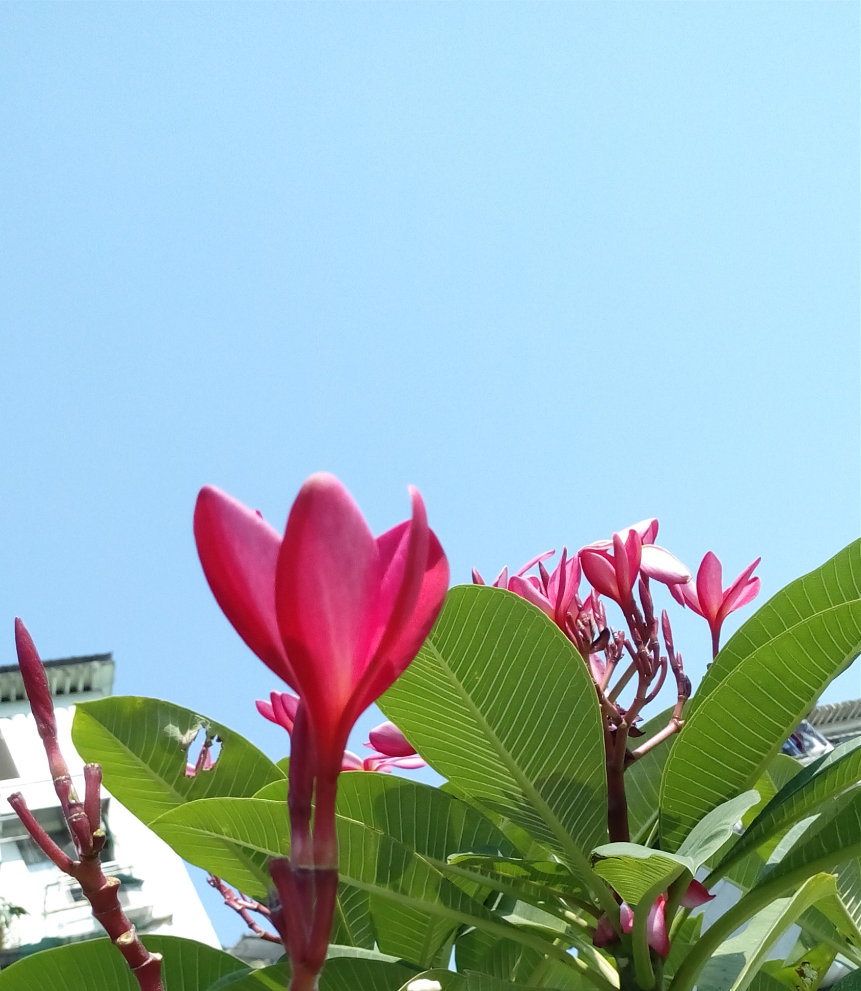 IMG_20161129_115012_副本.jpg