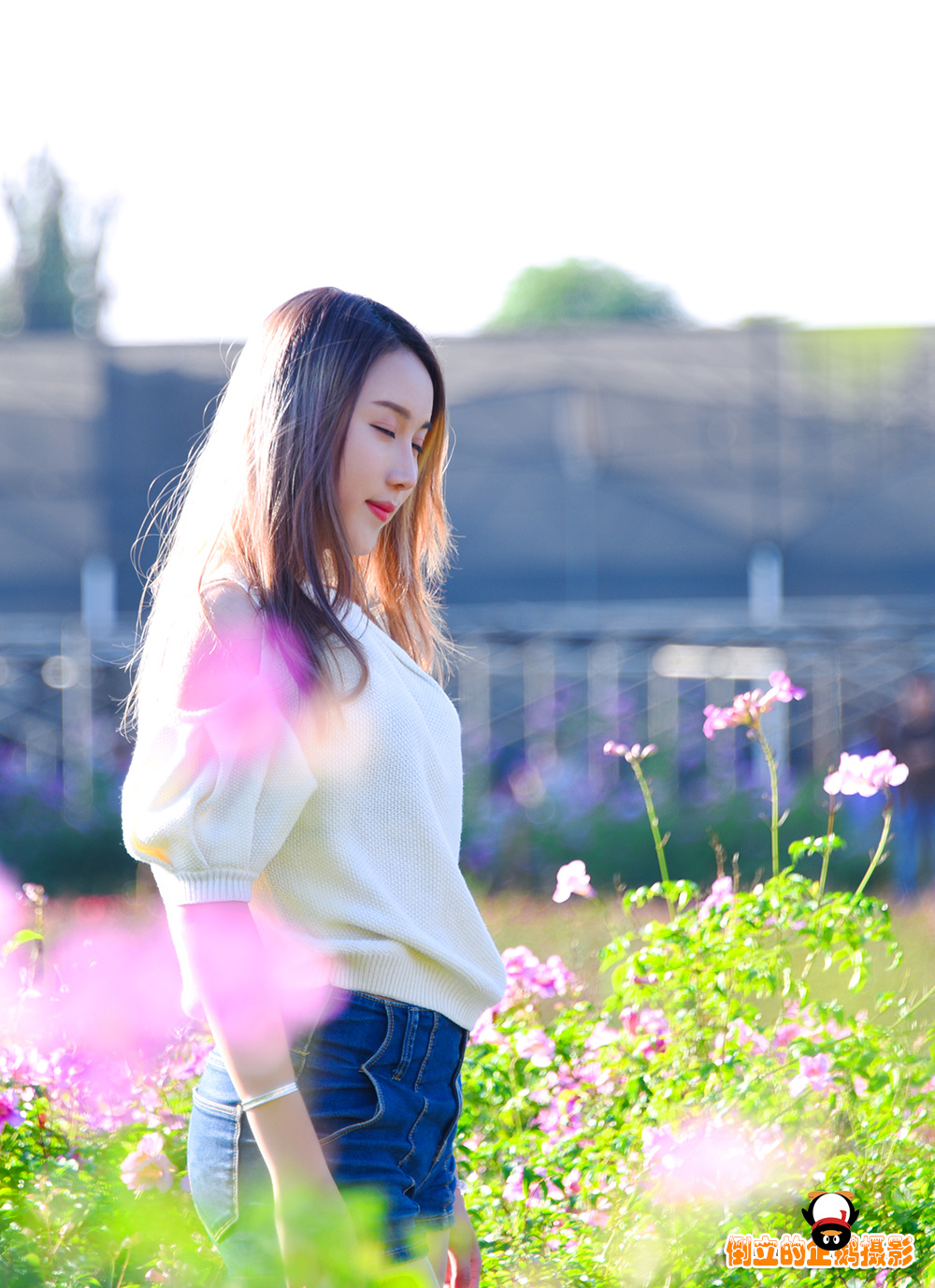 未命名-1000.jpg
