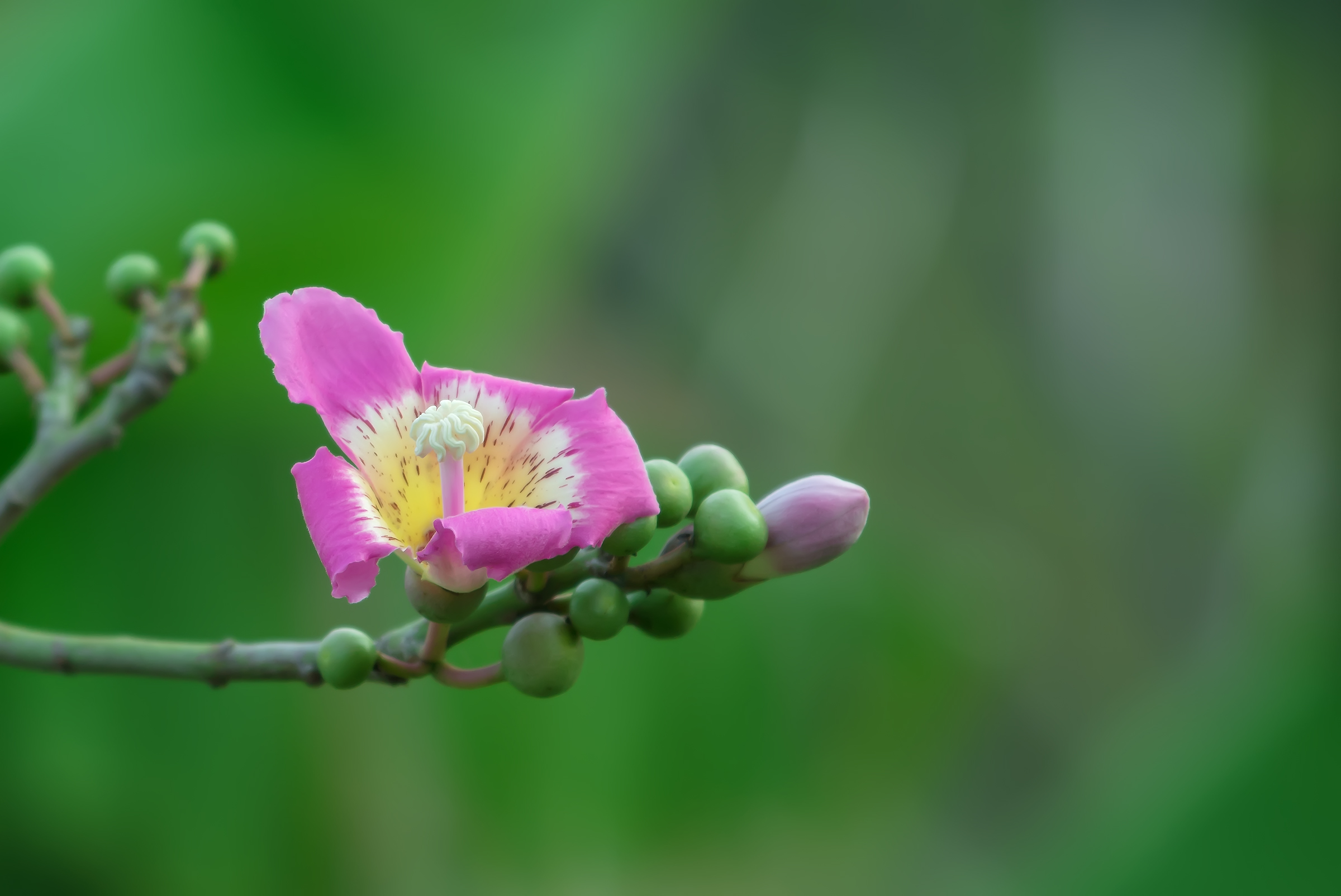 DSC_3839.jpg