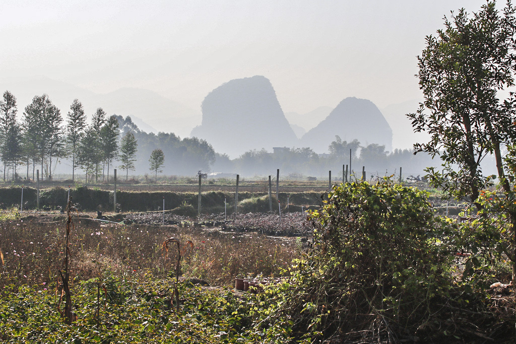 081A7198_副本.jpg