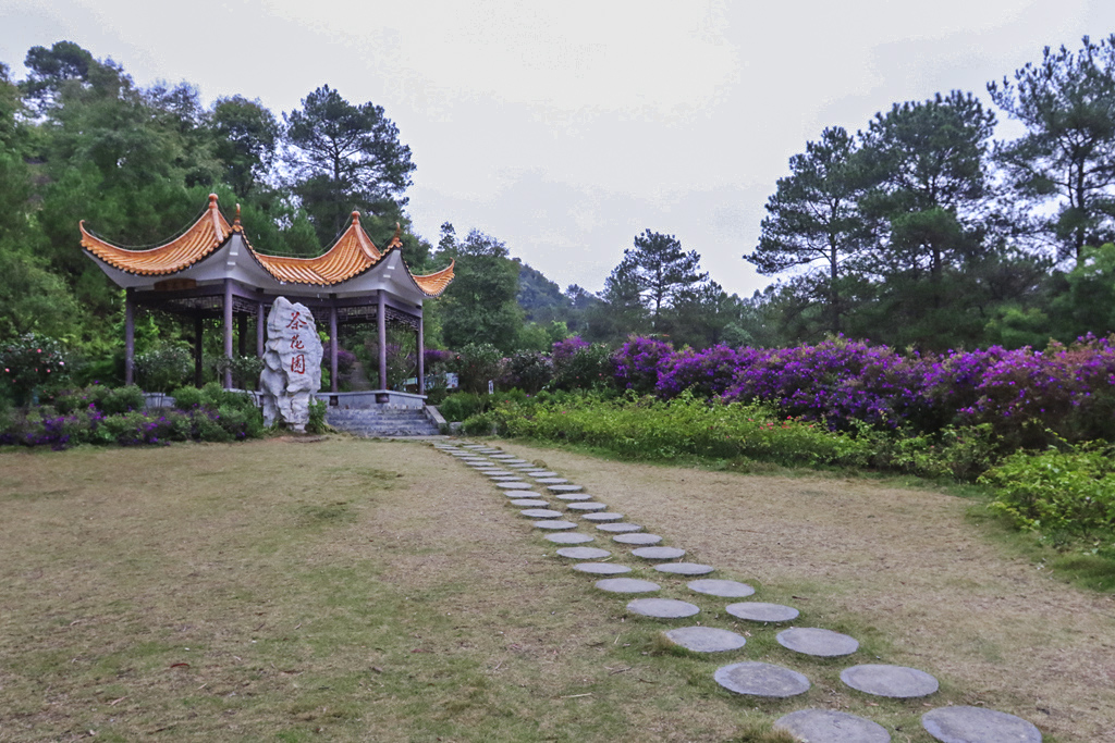 081A9062_副本.jpg