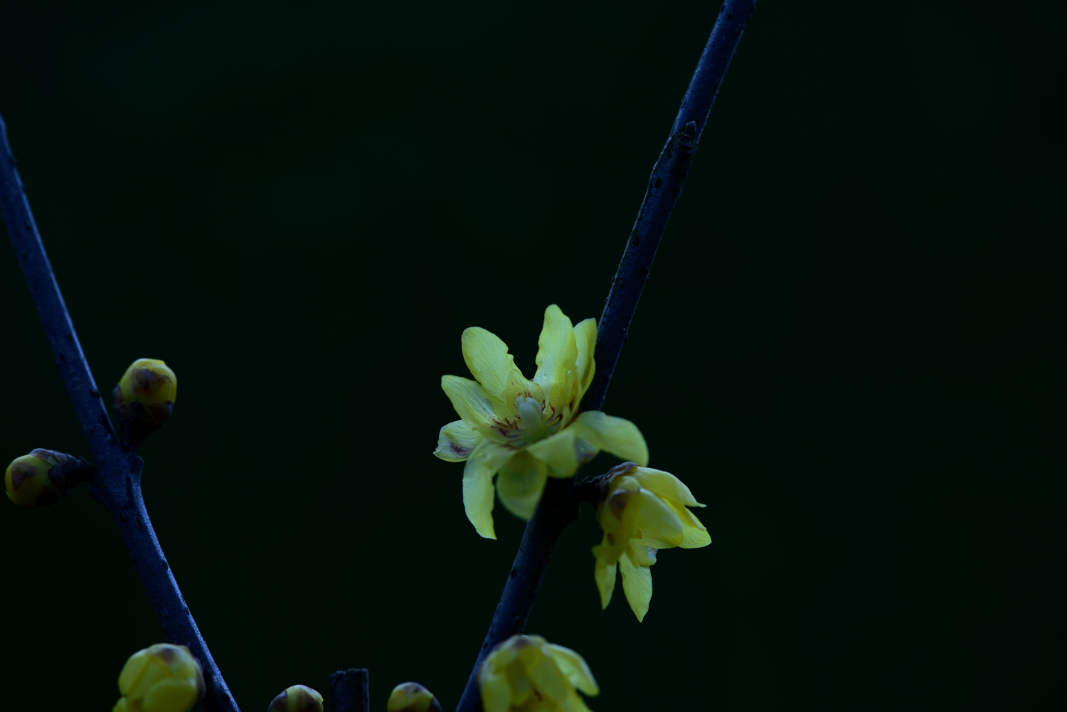 DSC_3993.JPG