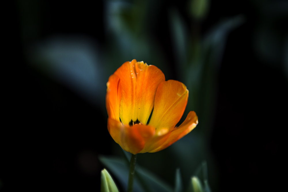IMG_6129副本.jpg