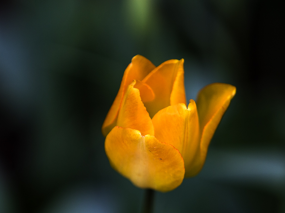IMG_6131副本.jpg