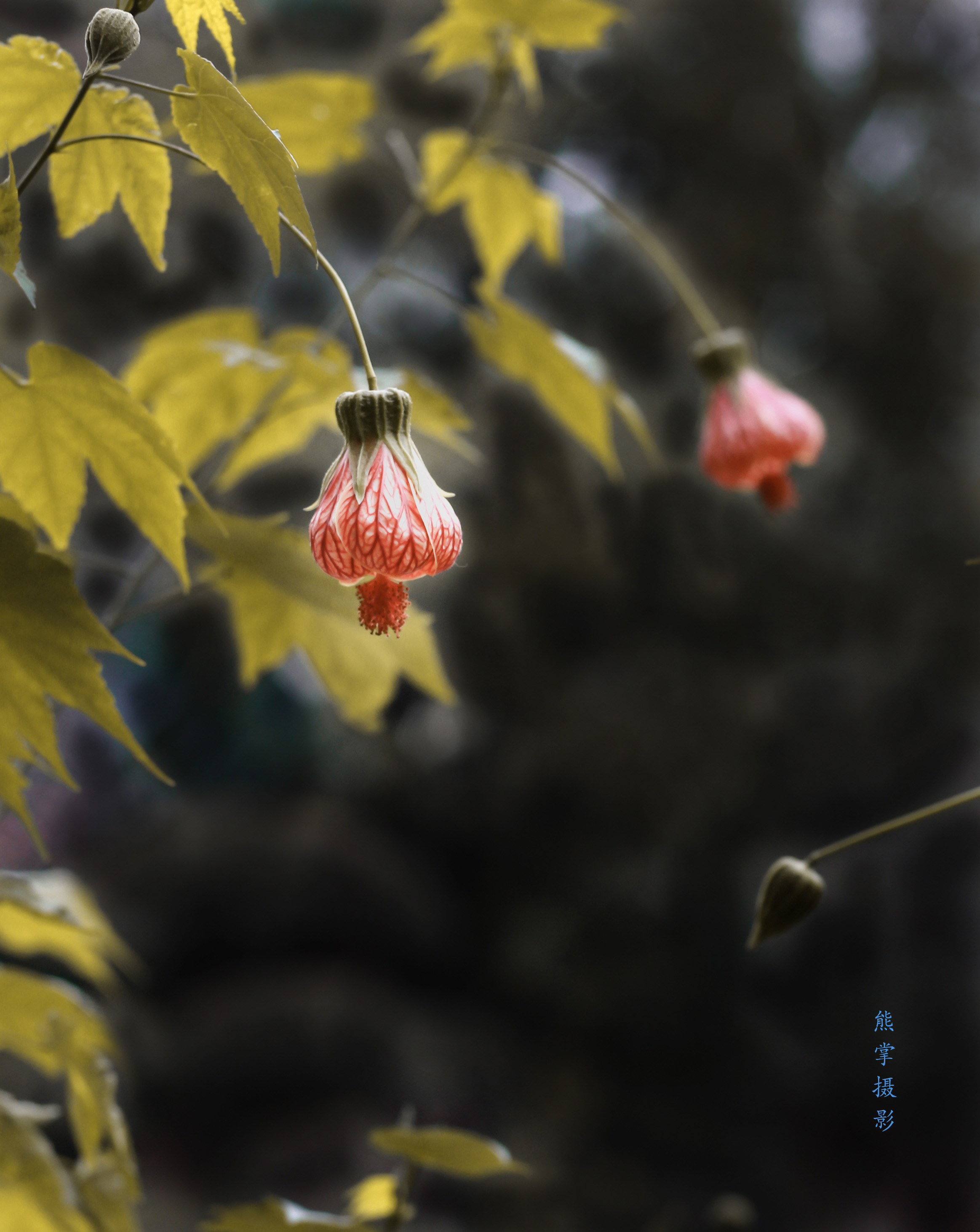 ““IMG_5888”为智能对象-1”为智能对象-1.jpg