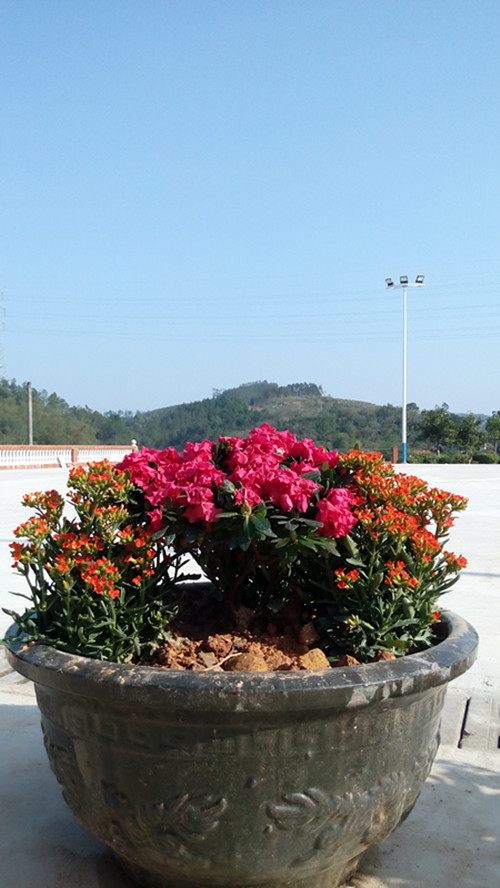 IMG_20170122_155833_副本.jpg