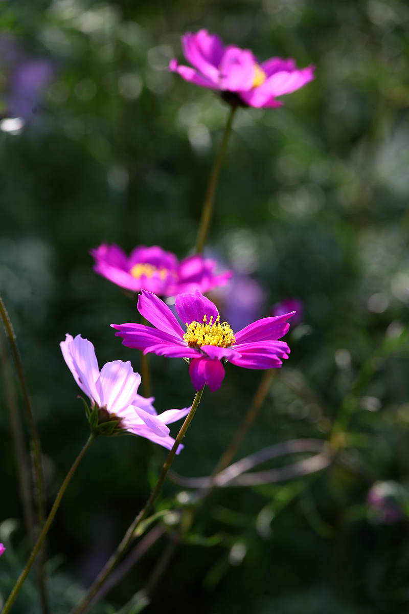 IMG_5749_副本.jpg