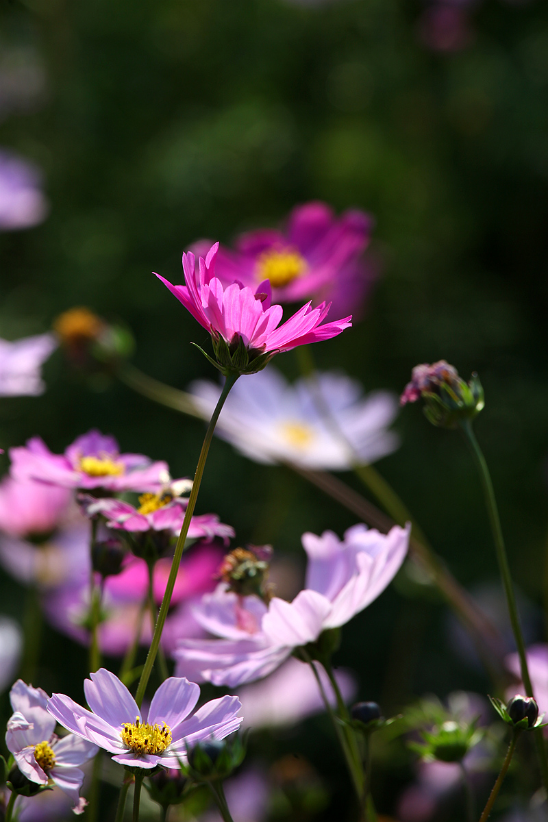 IMG_5754_副本.jpg