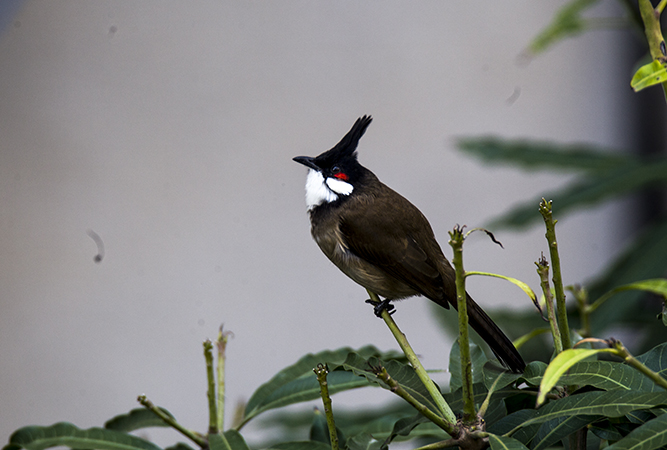 IMG_6364副本.jpg