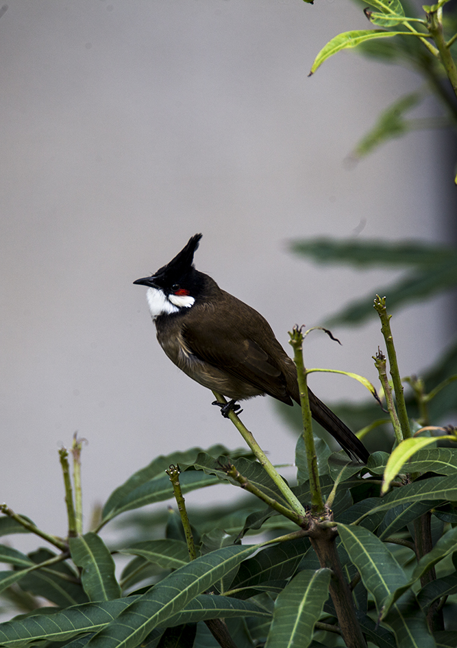 IMG_6370副本.jpg