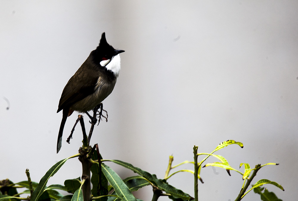 IMG_6719副本.jpg