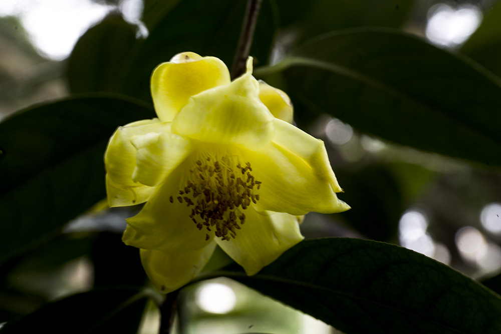 IMG_6803副本.jpg