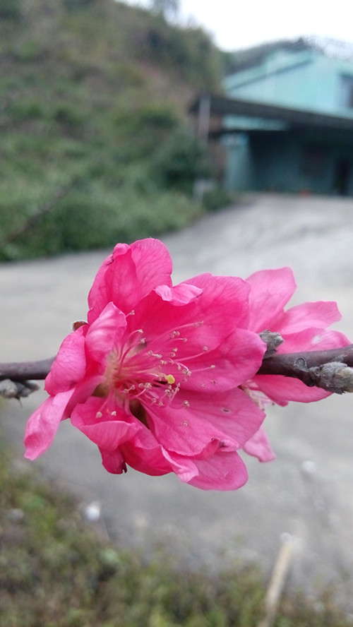 IMG_20170210_174606_副本.jpg