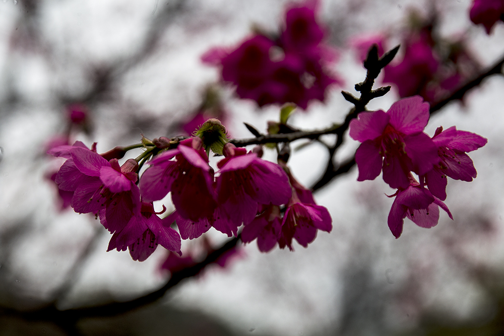 IMG_7635副本.jpg