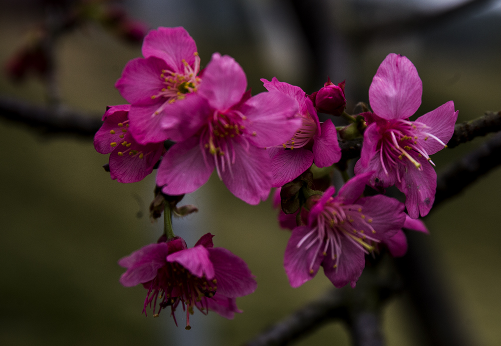 IMG_7641副本.jpg