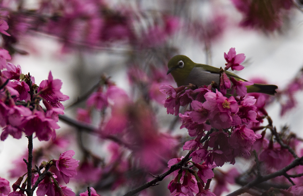 IMG_7688副本.jpg
