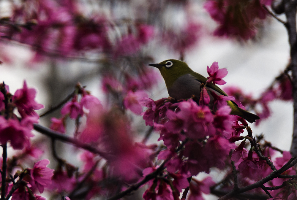 IMG_7689副本.jpg