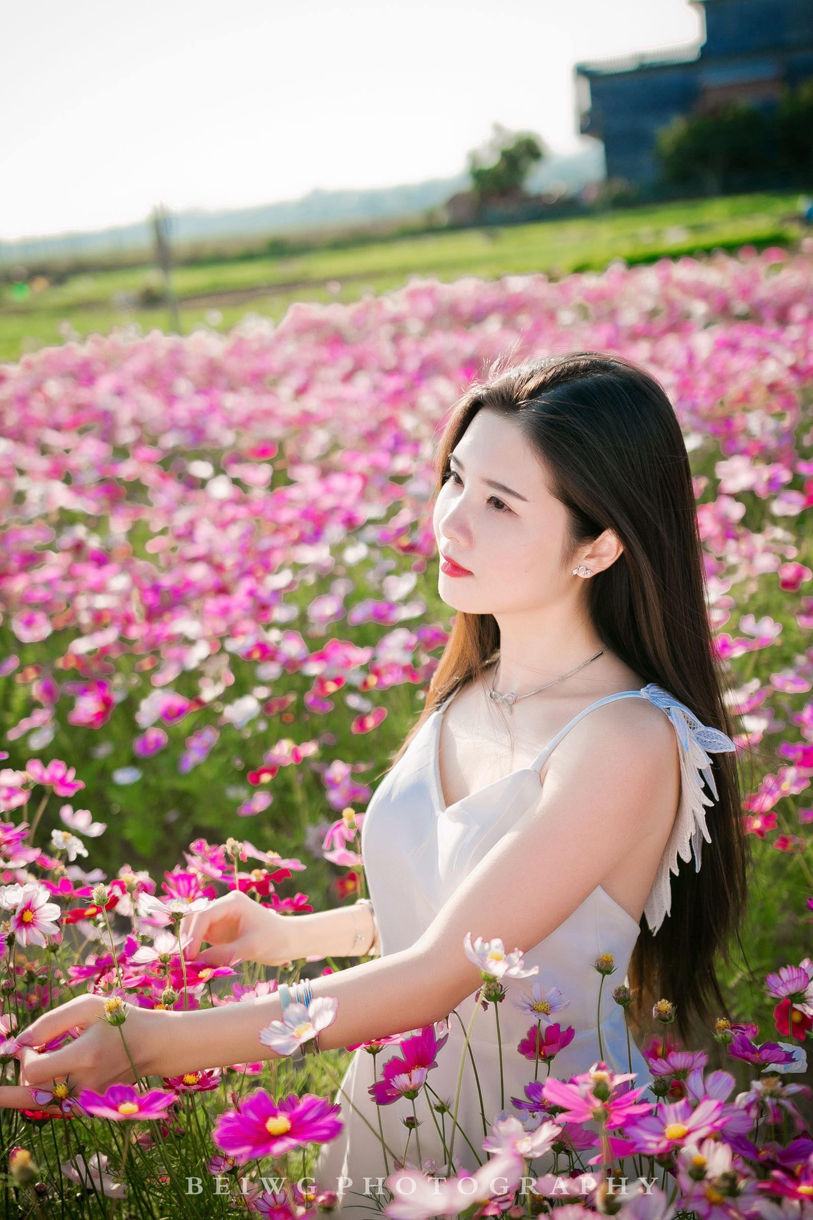 IMG_3460-1_副本.jpg