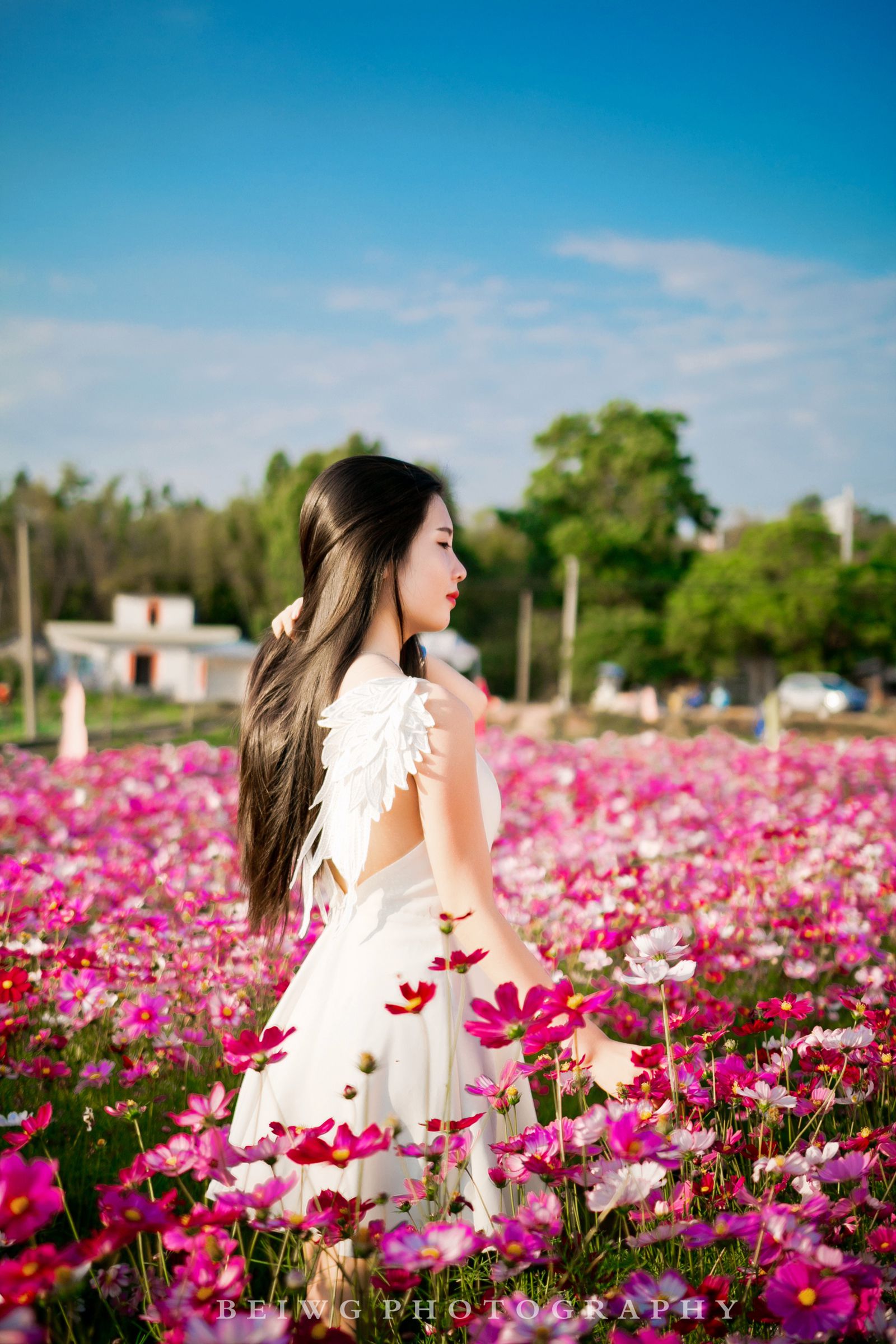 IMG_3510-1_副本.jpg