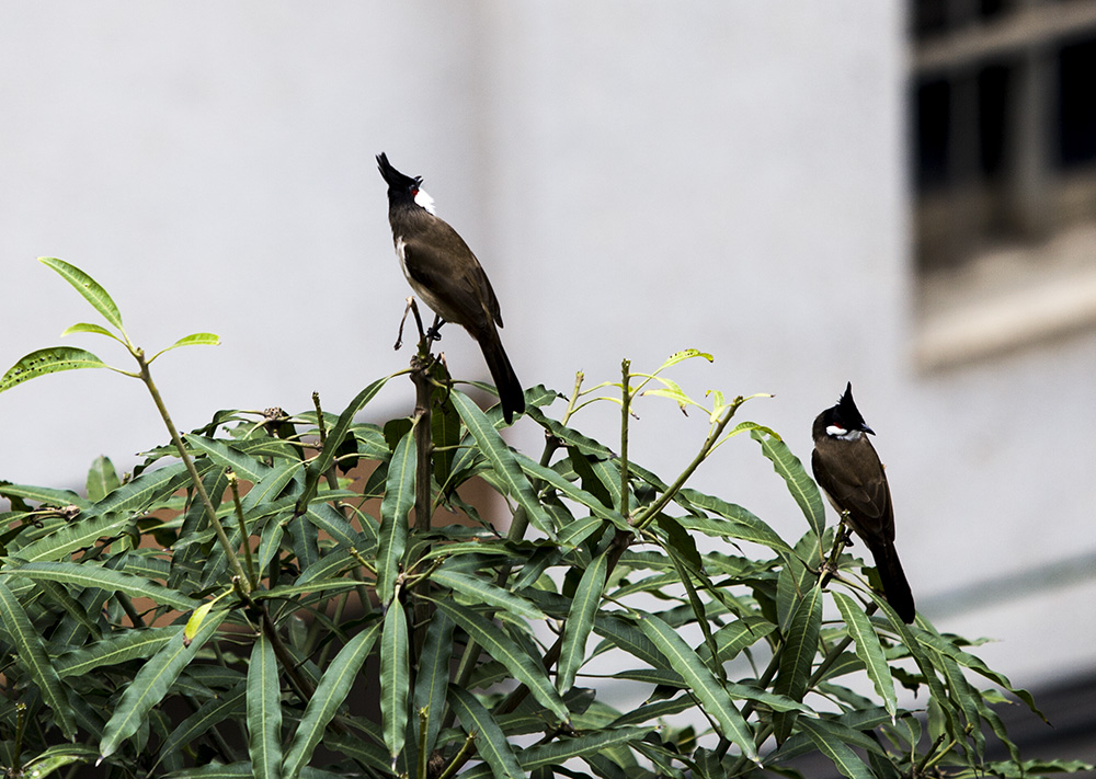 IMG_7703副本.jpg