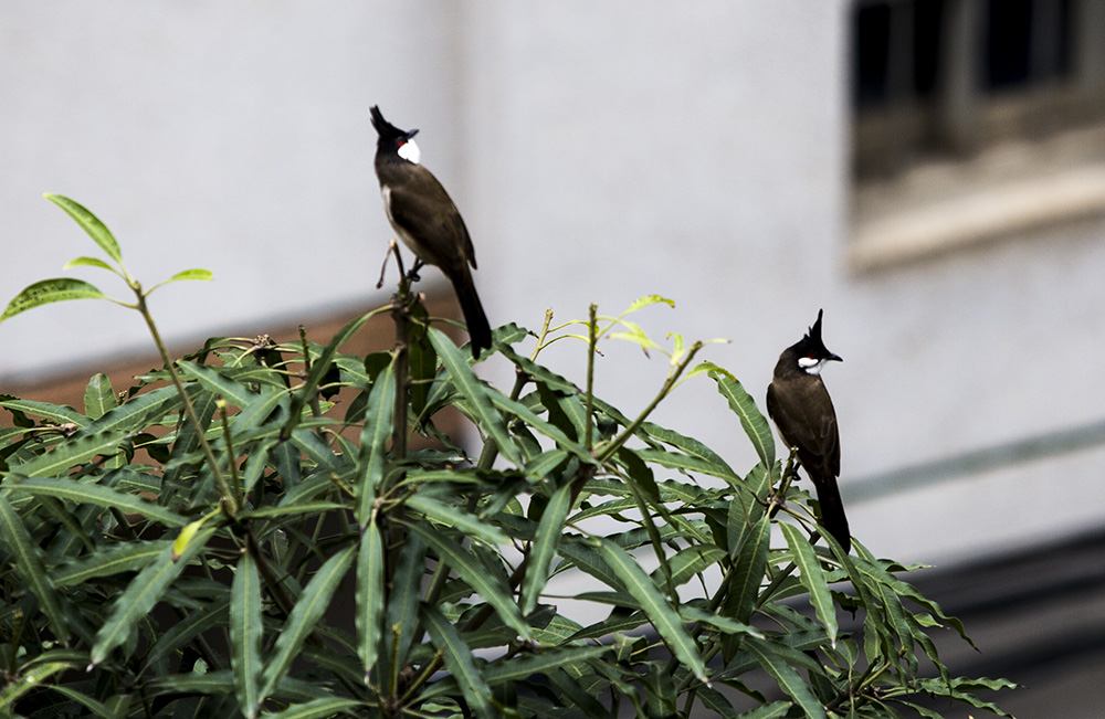 IMG_7704副本.jpg