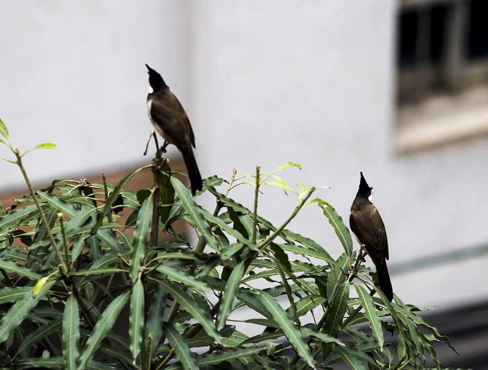 IMG_7705副本.jpg